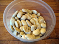 JP_almmilk0.jpg, juin 2009 JP_almmilk0.jpg