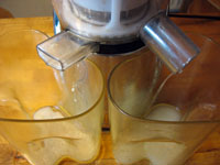 JP_alm_milk2.jpg, juin 2009 JP_alm_milk2.jpg