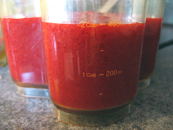  JPframb500g1.jpg
