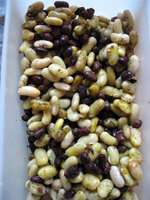 Houmflageol1.jpg