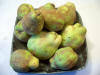 coings1.JPG