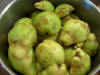coings3.JPG
